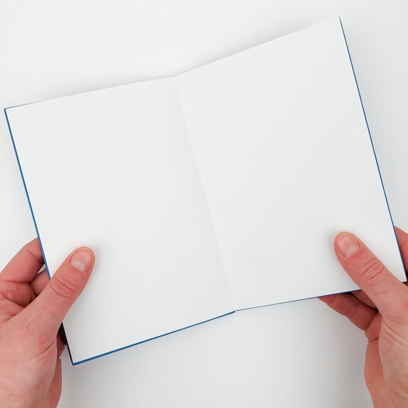 Japanese Goshuincho Mount Fuji Notebook