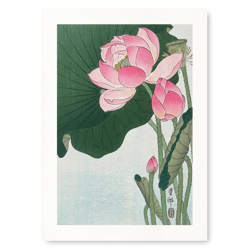 Japanese Lotus Flower Print - A3