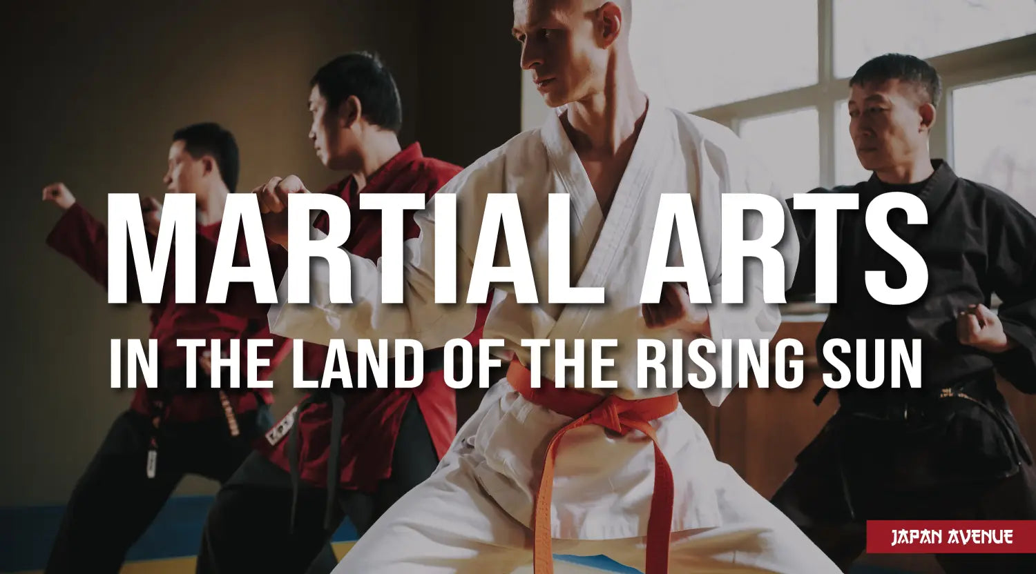 japanese martial arts