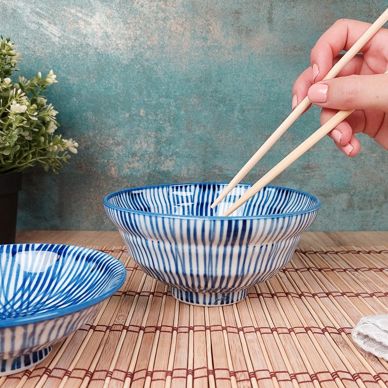 Japanese Donburi Bowl